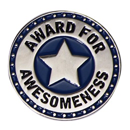 Award for Awesomeness Pin