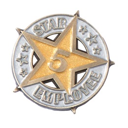 Five-Year Star Employee Pin