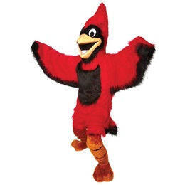 Mascot Costumes