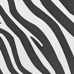 Patterned Decorating Paper - Zebra