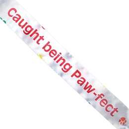 Children's Custom Sash