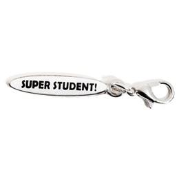 Star Student Mini Charm