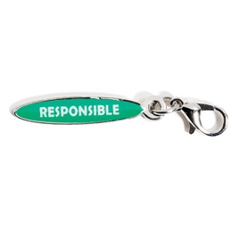 Responsible Mini Charm