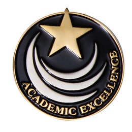 Gold Star Academic Excellence Pin