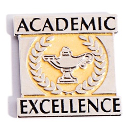 Academic Excellence Award Pin - Gold and Silver