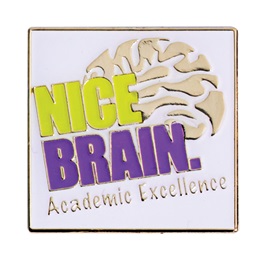 Academic Excellence Award Pin - Nice Brain