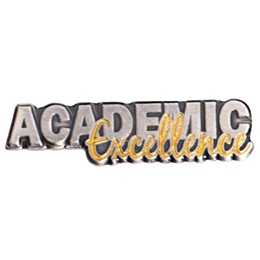 Silver and Gold Academic Excellence Pin