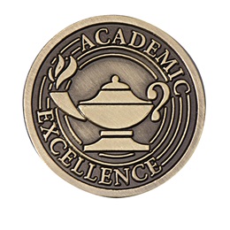 Academic Excellence Award Pin - Brushed Metal Lamp of Learning