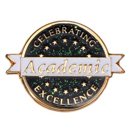 Academic Excellence Award Pin - Celebrating Excellence