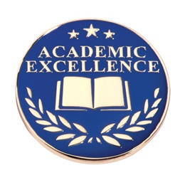 Academic Excellence Award Pin - Book and Laurel Leaves