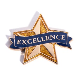 Academic Excellence Award Pin - Gold Glitter/Blue Banner