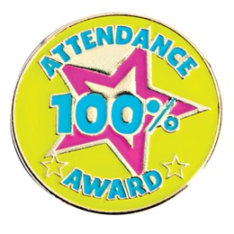 Attendance Award Pin - 100% Star