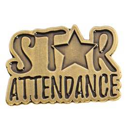 Bronze Star Attendance Pin