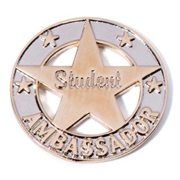 Leadership Award Pin - Student Ambassador