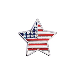 Citizenship Award Pin - Mini Star US Flag