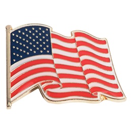 Citizenship Award Pin - Waving USA Flag