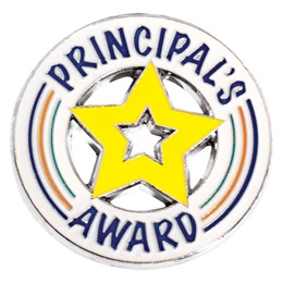 Die Cut Principal's Award Star Pin