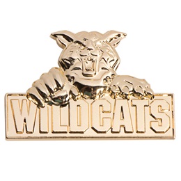 3D Mascot Award Pin - Molded Gold Wildcats