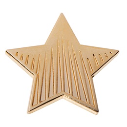 Star Student Award Pin - Gold Star