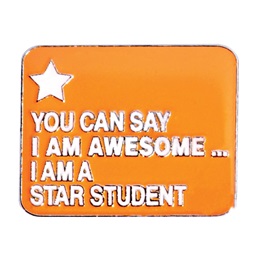 Award Pin - Awesome Star Student