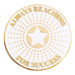 Always Reaching for Success Gold Star Burst Pin