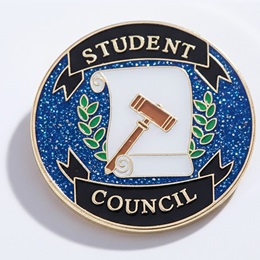 Student Council Award Pin