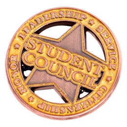 Student Council Star Die Cut Pin