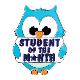 Award Pin - Student of the Month Owl