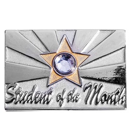 Award Pin - Student of the Month Bling