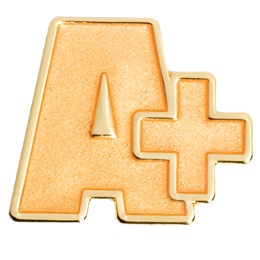 Award Pin - Gold A+