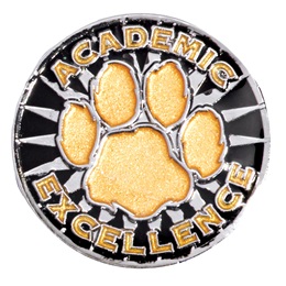 Award Pin -Academic Excellence