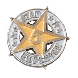 Five-Year Star Employee Pin