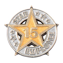 Fifteen-Year Star Employee Pin