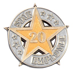 Twenty-Year Star Employee Pin
