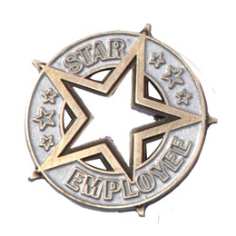 Star Employee Pin