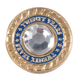 Twenty Years of Service Class Ring Pin