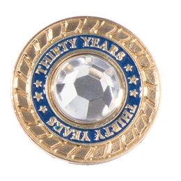 Thirty Years of Service Class Ring Pin