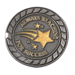 Always Reaching for Success Pin