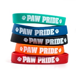 Paw Pride Wristband Assortment, 25/pkg