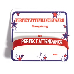 Mini Certificate/Wristband Set - Perfect Attendance