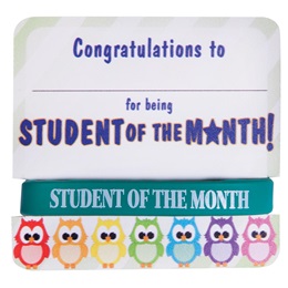 Mini Certificate/Wristband Set - Student of the Month