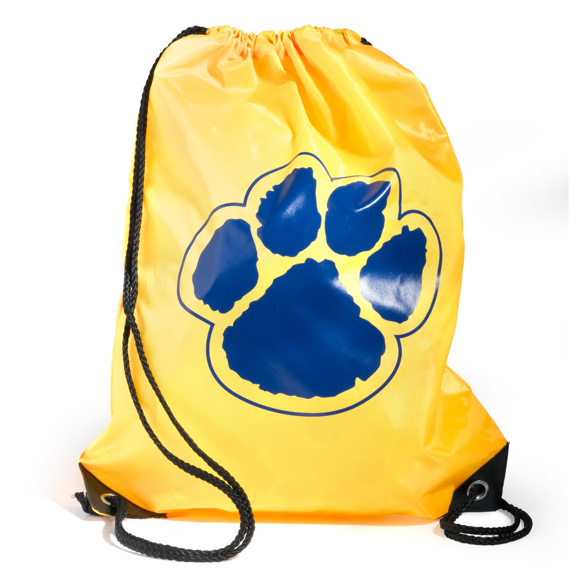 blue and gold backpack