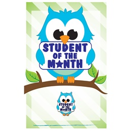 Pin Card with Pin Set - Student of the Month Owl