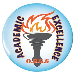 Custom Button - Academic Excellence Torch
