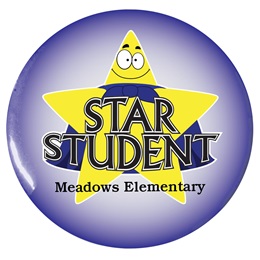 Custom Button - Star Student With Gold Stars