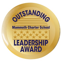 Custom Button - Outstanding Leadership Award