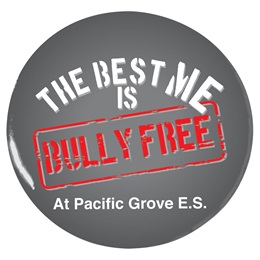 Custom Button - The Best Me is Bully Free