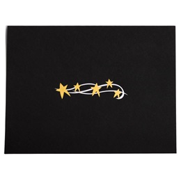 Certificate Holder - Gold Stars
