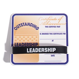 Mini Certificate/Wristband Set - Outstanding Leadership