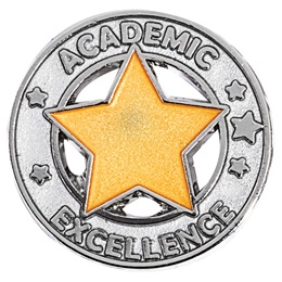 Academic Excellence Award Pin - Silver With Gold Star
